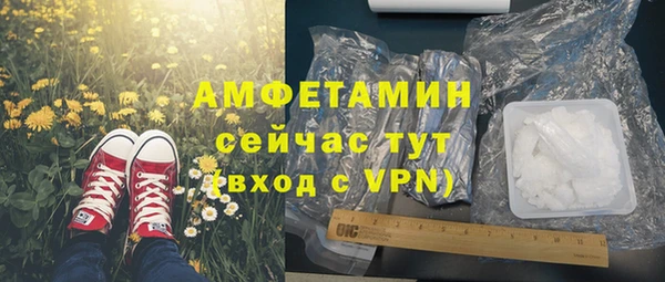 PSILOCYBIN Богородицк